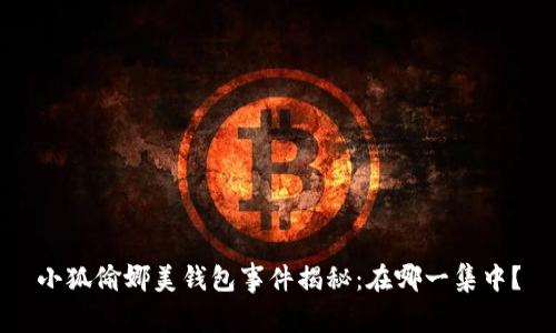 小狐偷娜美钱包事件揭秘：在哪一集中？