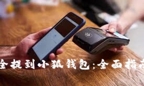 如何将狗狗币安全提到小狐钱包：全面指南与常见问题解析