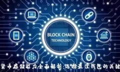   加密货币存储能力全面解析：选择最佳钱包的关