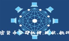 深入探讨加密货币公司机构：现状、挑战与未来