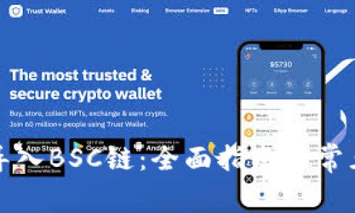 小狐钱包导入BSC链：全面指南与常见问题解析