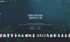 加密数字货币的火爆现象：2023年趋势与未来展望
