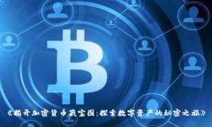 《揭开加密货币藏宝图：探索数字资产的秘密之