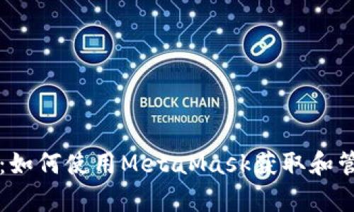 全面解析：如何使用MetaMask获取和管理测试币
