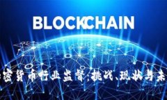 揭秘加密货币行业监督：挑战、现状与未来走向
