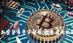 2020年加密货币牛市解析:投资者的机遇与挑战