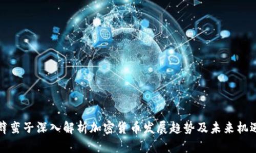 薜蛮子深入解析加密货币发展趋势及未来机遇