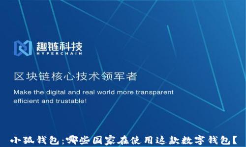 小狐钱包:哪些国家在使用这款数字钱包?