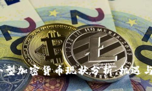 2023年小型加密货币现状分析:机遇与挑战并存