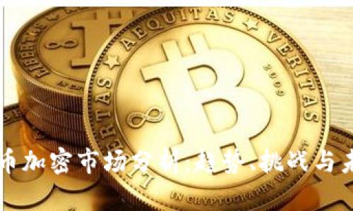 全球货币加密市场分析:趋势、挑战与未来展望