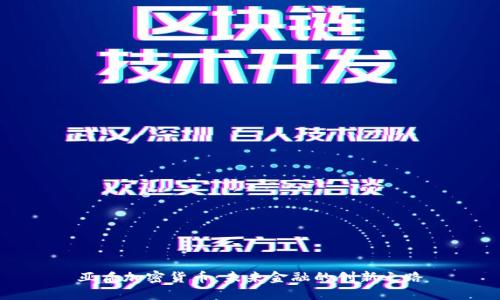 亚盾加密货币：未来金融的创新之路