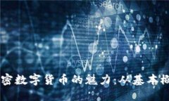 了解CANDY加密数字货币的魅力：从基本概念到投资
