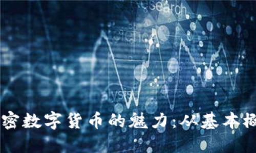 了解CANDY加密数字货币的魅力：从基本概念到投资潜力