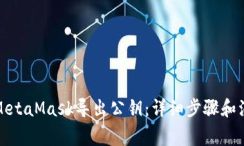 如何从MetaMask导出公钥：详细步骤和注意事项