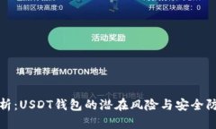 全面解析:USDT钱包的潜在风险与安全防护技巧