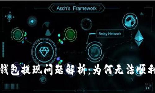 小狐钱包提现问题解析:为何无法顺利提现