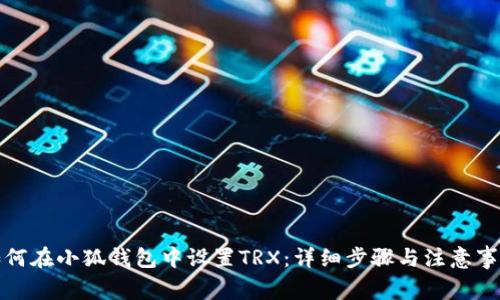 如何在小狐钱包中设置TRX:详细步骤与注意事项