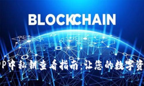 小狐钱包APP中私钥查看指南:让您的数字资产更加安全