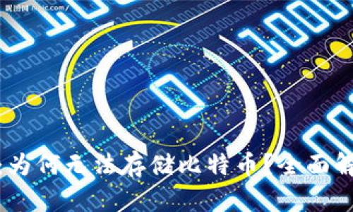 小狐钱包：为何无法存储比特币？全面解析与建议