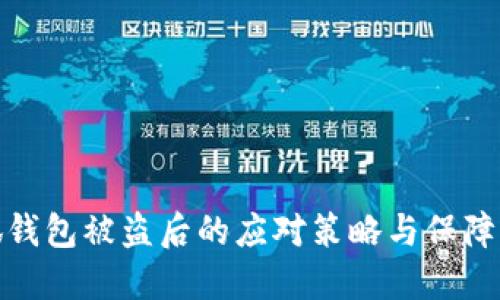 小狐钱包被盗后的应对策略与保障措施