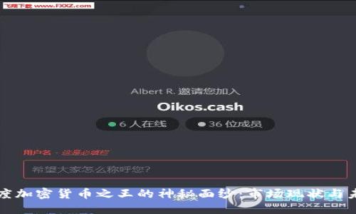 揭开印度加密货币之王的神秘面纱：市场现状与未来展望