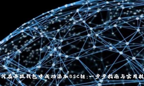 如何在小狐钱包中成功添加BSC链:一步步指南与实用技巧