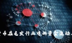 探索加密货币在毛发行业中的资金流动与投资机