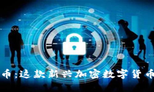 深入探讨白鲸币：这款新兴加密数字货币的崛起与未来