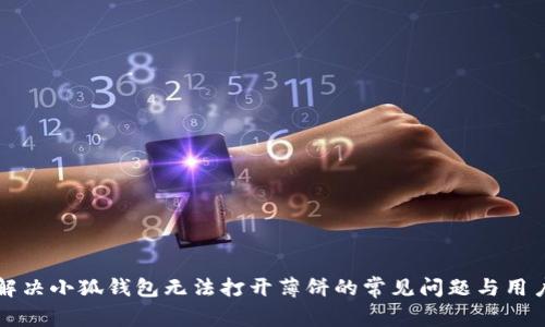 如何解决小狐钱包无法打开薄饼的常见问题与用户指南