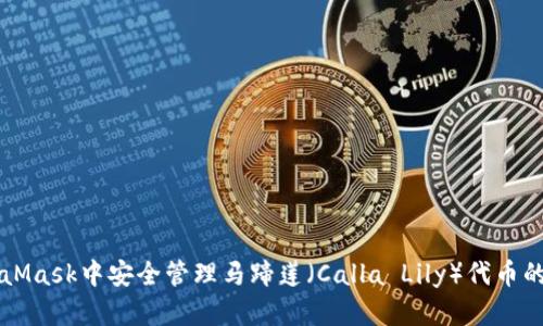 如何在MetaMask中安全管理马蹄莲(Calla Lily)代币的存储与交易