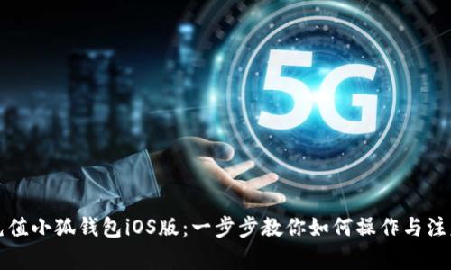 轻松充值小狐钱包iOS版:一步步教你如何操作与注意事项