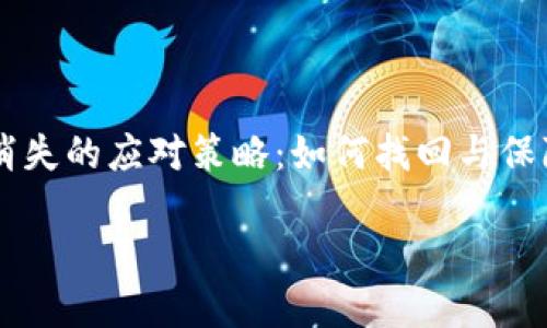 小狐钱包消失的应对策略:如何找回与保障你的数字资产
小狐钱包消失的应对策略:如何找回与保障你的数字资产