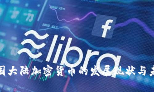 探索中国大陆加密货币的发展现状与未来趋势