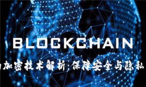 数字货币的加密技术解析：保障安全与隐私的隐秘背后